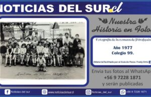 Año 1977, Colegio 99