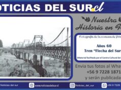 Años 60, Tren «Flecha del Sur «