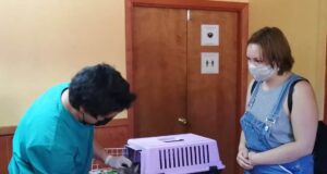 Clínica Veterinaria Municipal de Villarrica al servicio de la comunidad