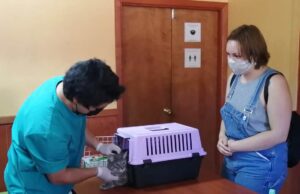 Clínica Veterinaria Municipal de Villarrica al servicio de la comunidad