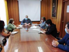 Colegio de Profesores Villarrica propone iniciativas para trabajo lectivo 2021
