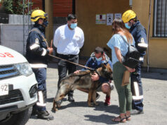 Militar viajó a Temuco a homenajear al perro de Bomberos que encontró los restos de su madre