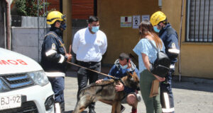 Militar viajó a Temuco a homenajear al perro de Bomberos que encontró los restos de su madre