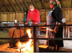 Turismo rural de La Araucanía está preparado para recibir visitantes este 2021