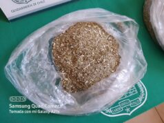 Por medio de encomienda intentan ingresar clonazepam a la cárcel de Pitrufquén