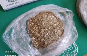 Por medio de encomienda intentan ingresar clonazepam a la cárcel de Pitrufquén