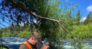 Con cámaras submarinas buscan a joven extraviado en el Río Trancura en Pucón