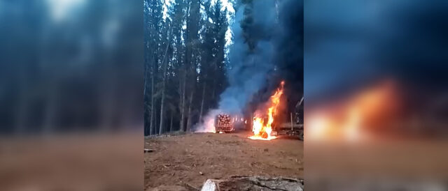 Nuevo ataque incendiario dejó al menos 5 camiones quemados en Galvarino