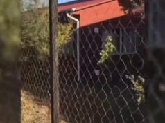 Solicitan intervención del Sename tras video denuncia por actos sexuales en Aldea SoS de Padre Las Casas