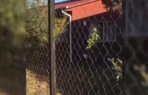 Solicitan intervención del Sename tras video denuncia por actos sexuales en Aldea SoS de Padre Las Casas