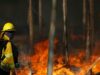 Declaran alerta roja en Purén por incendio forestal