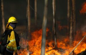 Declaran alerta roja en Purén por incendio forestal