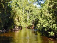 Estado del Agua Turbía del Río Donguil Se Debería a Extracción de Áridos