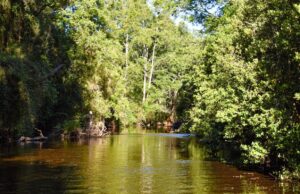 Estado del Agua Turbía del Río Donguil Se Debería a Extracción de Áridos