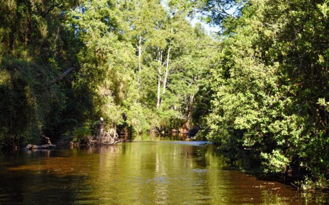 Estado del Agua Turbía del Río Donguil Se Debería a Extracción de Áridos