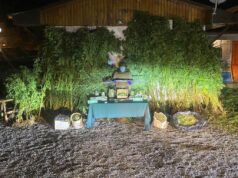 Carabineros del OS-7 Araucanía Decomisa Más De 15 Kilos De Marihuana y Suma 52 Detenidos En Febrero