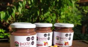 Crema de Avellanas de La Araucanía Ingresa al Mercado