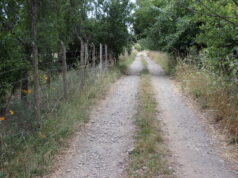 En Gorbea Realizarán Mejoras En Caminos Vecinales
