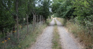En Gorbea Realizarán Mejoras En Caminos Vecinales