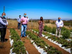 Comunidad Indígena de Los Sauces Implementó Sistema de Riego a Través de Paneles Solares