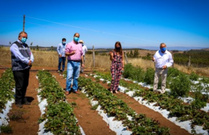 Comunidad Indígena de Los Sauces Implementó Sistema de Riego a Través de Paneles Solares
