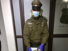 Decomisan 3.464 Dosis De Marihuana Prensada En La Ruta 5 Sur