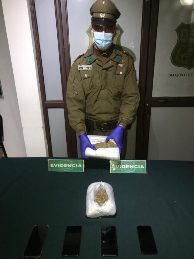 Decomisan 3.464 Dosis De Marihuana Prensada En La Ruta 5 Sur