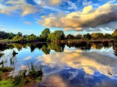 Estudio de ADN Ambiental Identificó 179 Especies en Humedal de Loncoche