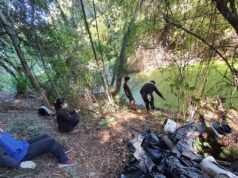 Padre Las Casas: Organizaciones Sociales Solicitan Al Alcalde Realizar Tramitación Para defensa De Humedal Urbano