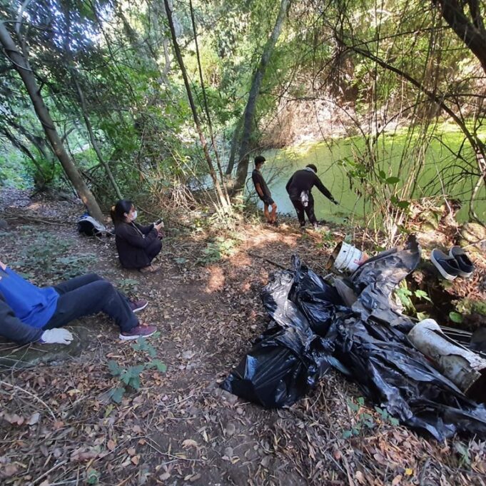 Padre Las Casas: Organizaciones Sociales Solicitan Al Alcalde Realizar Tramitación Para defensa De Humedal Urbano