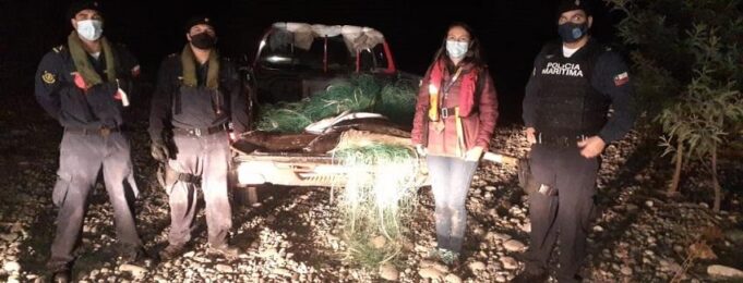 Detectan Infraganti A Pescadores Furtivos En Pitrufquén