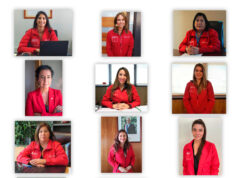 Gabinete Regional De La Araucanía: 60% De Cargos De Gobierno Están Liderados Por Mujeres