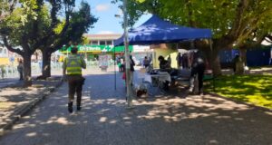 Pitrufquén Superó Los 100 Casos Activos De Covid-19