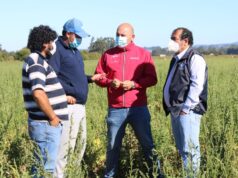 Entregan Certificados A Los Agricultores De Carahue Para Que Puedan Desplazarse Durante La Cuarentena