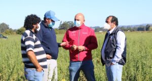 Entregan Certificados A Los Agricultores De Carahue Para Que Puedan Desplazarse Durante La Cuarentena