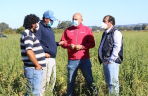 Entregan Certificados A Los Agricultores De Carahue Para Que Puedan Desplazarse Durante La Cuarentena