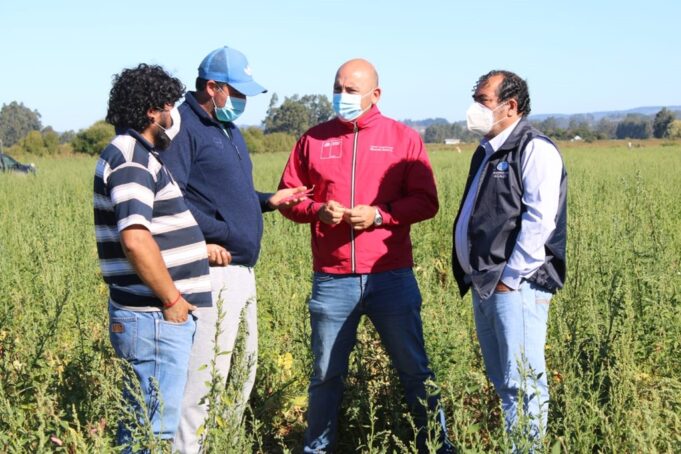 Entregan Certificados A Los Agricultores De Carahue Para Que Puedan Desplazarse Durante La Cuarentena