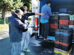 Controles Carreteros en La Araucanía Dejan 11.365 kilos de Pesca Ilegal Incautadas