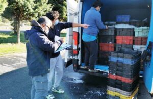 Controles Carreteros en La Araucanía Dejan 11.365 kilos de Pesca Ilegal Incautadas