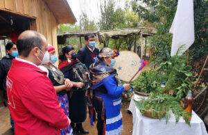 En Medio De Pandemia Por Coronavirus CONADI Financia Trabajo De Las Machi En La Araucanía