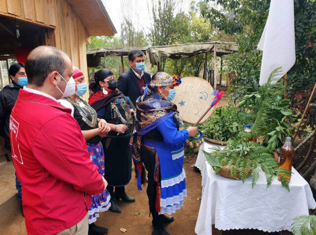 En Medio De Pandemia Por Coronavirus CONADI Financia Trabajo De Las Machi En La Araucanía