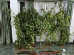 Detienen a hombre que habría disparado contra casa y vehículos en Pitrufquén; incautan droga y armas