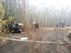 Tres Máquinas Destruidas Dejó Ataque Incendiario En Freire