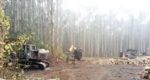 Tres Máquinas Destruidas Dejó Ataque Incendiario En Freire