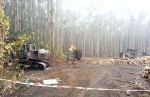 Tres Máquinas Destruidas Dejó Ataque Incendiario En Freire