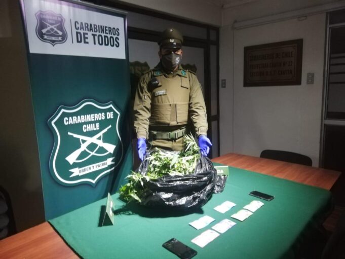 Sacan De Circulación 3.840 Dosis De Marihuana En Perquenco