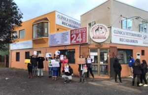 Comienzan Audiencias En Contra De Clínica Veterinaria Recabarren De Temuco