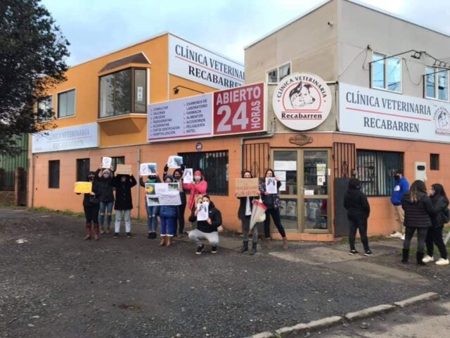 Comienzan Audiencias En Contra De Clínica Veterinaria Recabarren De Temuco