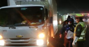 Incautan más de 100 kilos de centolla en Freire durante controles carreteros