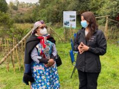 Fortalecen trabajo preventivo Covid-19 en comunidades indígenas de La Araucanía